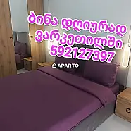30 ლარი ღამე, ბინა დღიურად