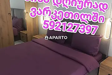 30 ლარი ღამე, ბინა დღიურად