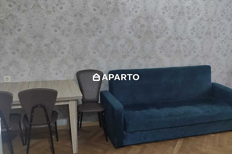 70 ლარი ღამე, ბინა დღიურად