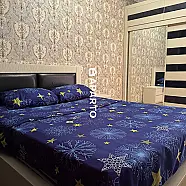 60 ლარი ღამე, ბინა დღიურად