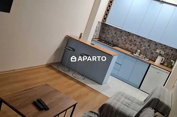 60 ლარი ღამე, ბინა დღიურად