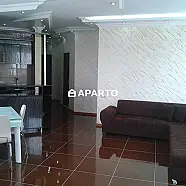 160 ლარი ღამე, ბინა დღიურად