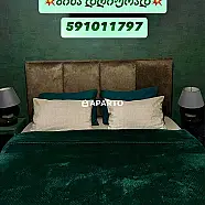 30 ლარი ღამე, ბინა დღიურად