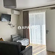 100 ლარი ღამე, ბინა დღიურად