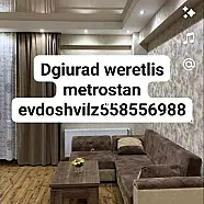 30 ლარი ღამე, ბინა დღიურად
