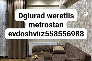 30 ლარი ღამე, ბინა დღიურად