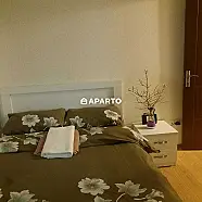 1 ლარი ღამე, ბინა დღიურად