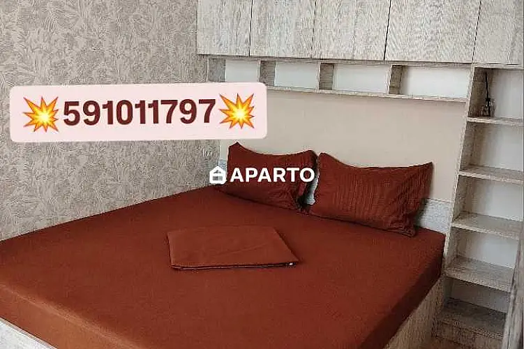 30 ლარი ღამე, ბინა დღიურად