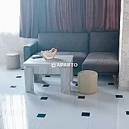 100 ლარი ღამე, ბინა დღიურად