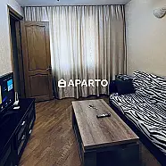 60 ლარი ღამე, ბინა დღიურად