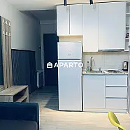 70 ლარი ღამე, ბინა დღიურად