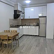 80 ლარი ღამე, ბინა დღიურად