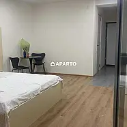 120 ლარი ღამე, ბინა დღიურად